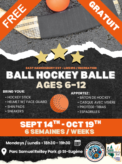 Ball Hockey